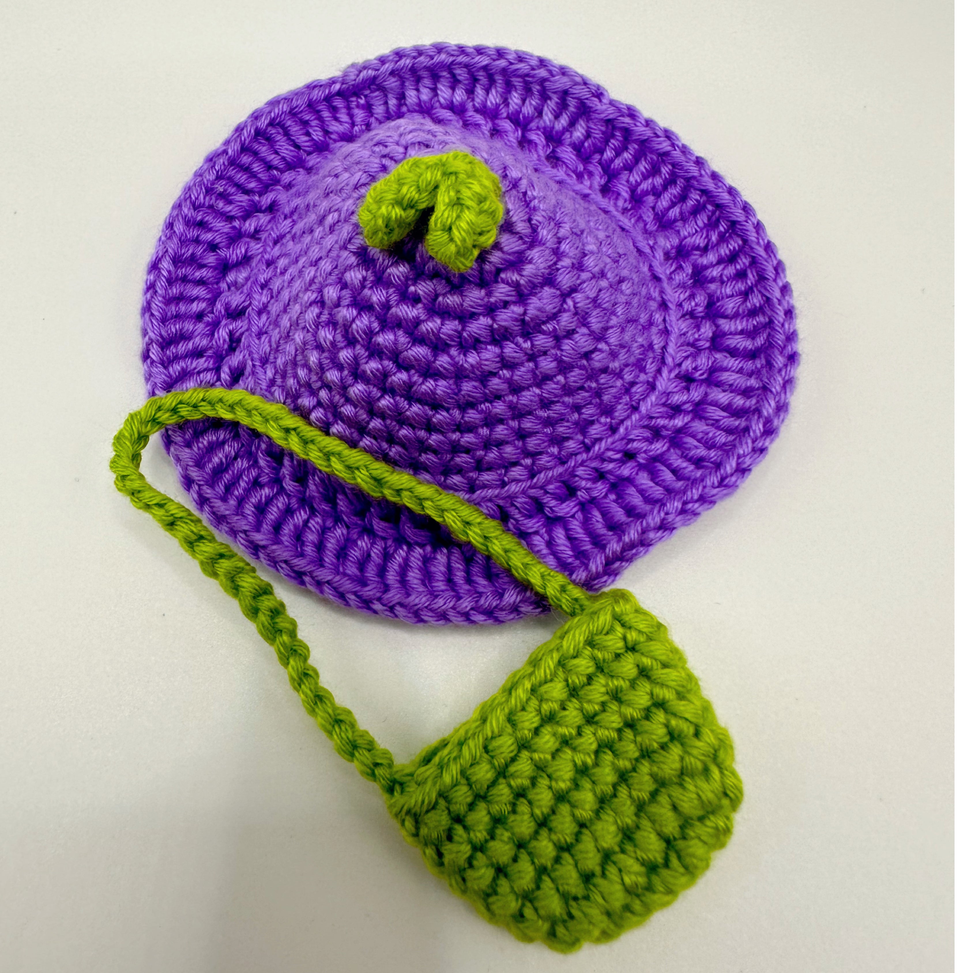 Handmade Crocheted Duckling